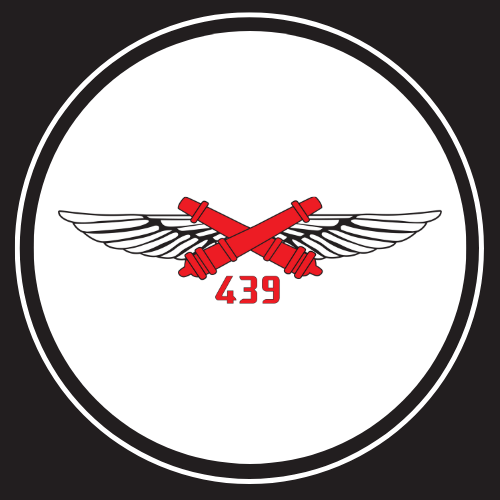 לוגו יחידה 1