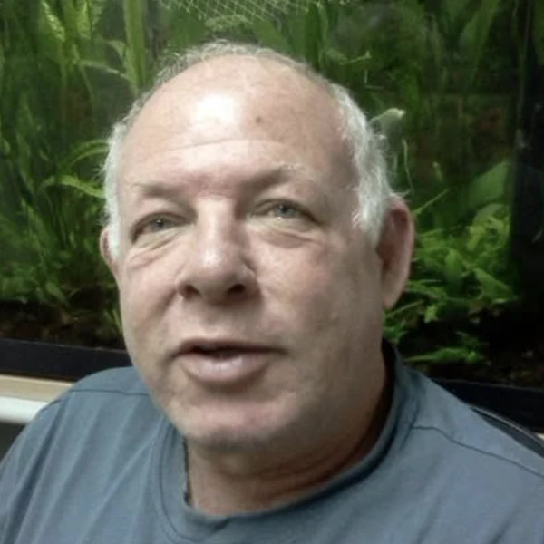 אבי קניג